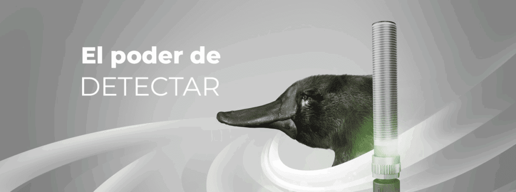 Sensores que lo detectan todo: